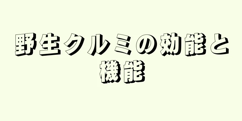 野生クルミの効能と機能