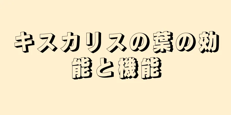キスカリスの葉の効能と機能