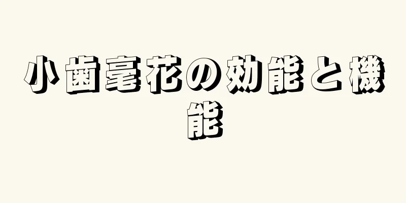 小歯毫花の効能と機能