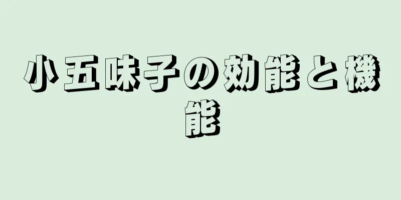 小五味子の効能と機能
