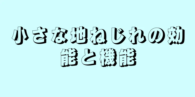小さな地ねじれの効能と機能