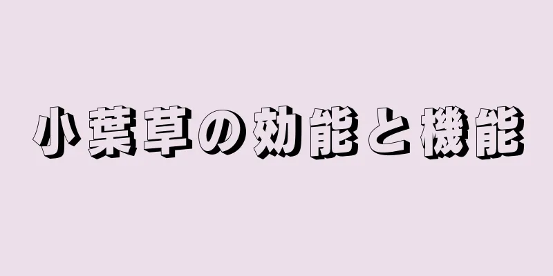 小葉草の効能と機能