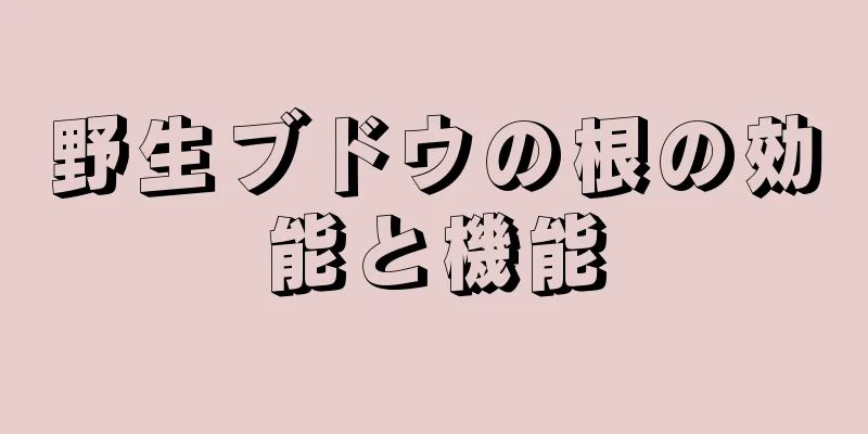 野生ブドウの根の効能と機能