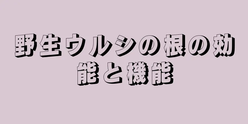 野生ウルシの根の効能と機能