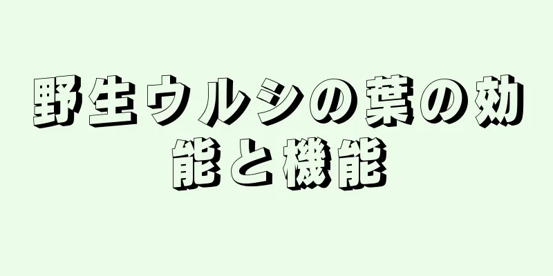 野生ウルシの葉の効能と機能