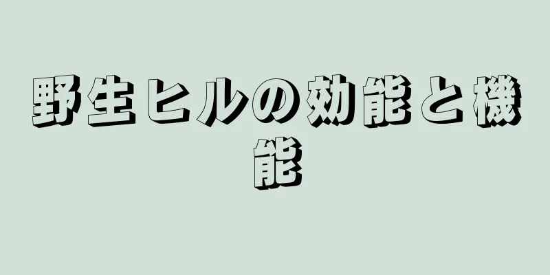 野生ヒルの効能と機能