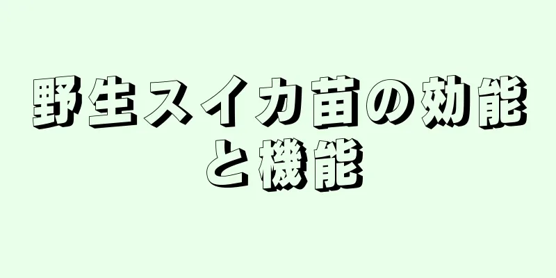 野生スイカ苗の効能と機能