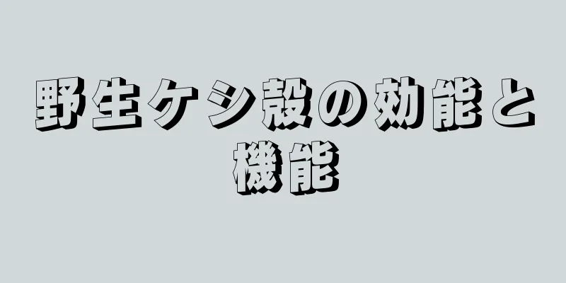 野生ケシ殻の効能と機能