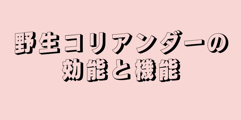 野生コリアンダーの効能と機能