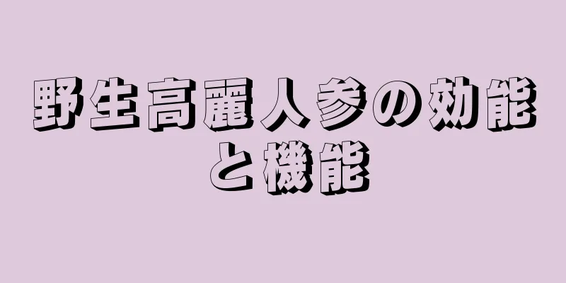 野生高麗人参の効能と機能