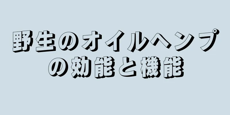 野生のオイルヘンプの効能と機能