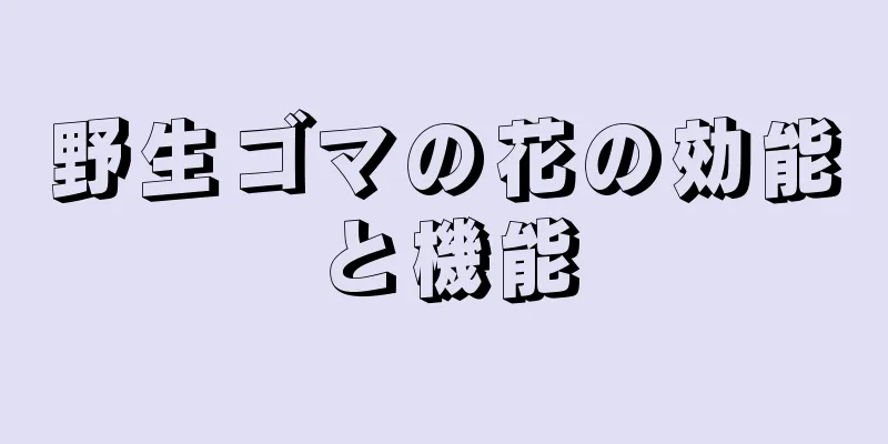 野生ゴマの花の効能と機能