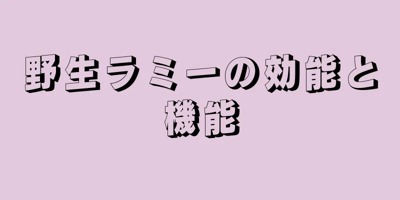 野生ラミーの効能と機能