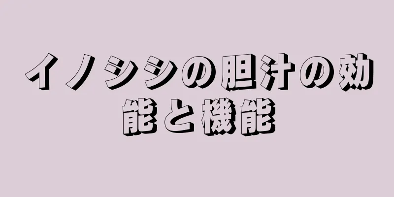 イノシシの胆汁の効能と機能