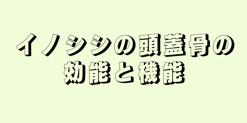 イノシシの頭蓋骨の効能と機能