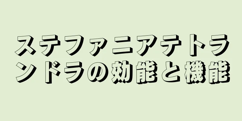 ステファニアテトランドラの効能と機能