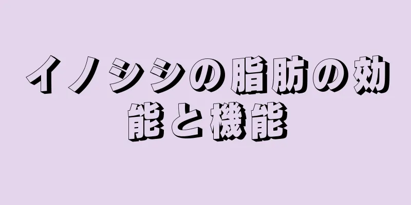 イノシシの脂肪の効能と機能