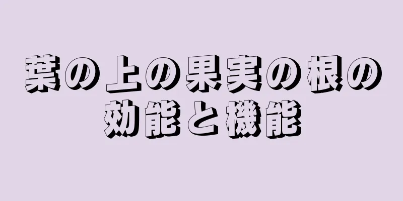 葉の上の果実の根の効能と機能