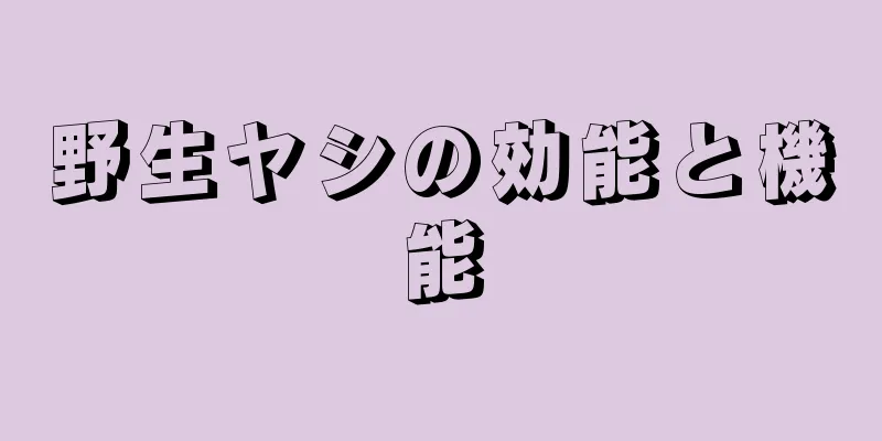 野生ヤシの効能と機能