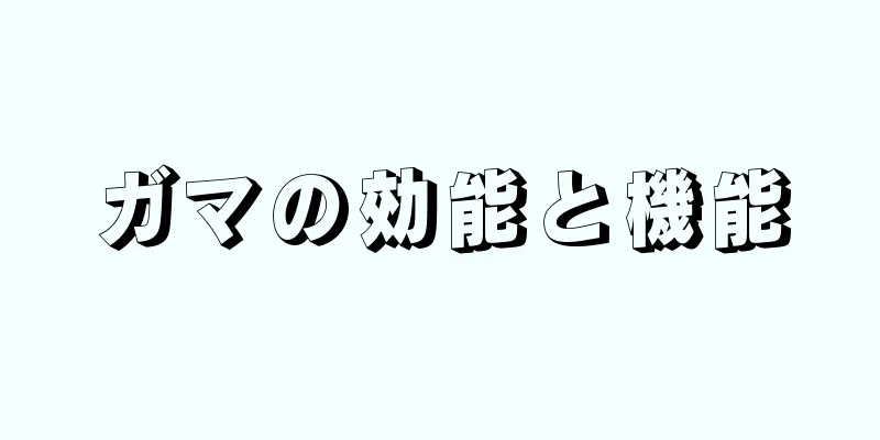 ガマの効能と機能