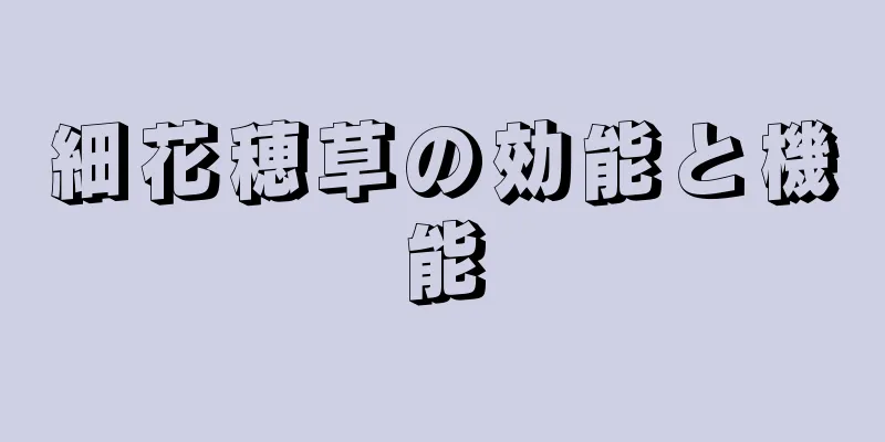 細花穂草の効能と機能