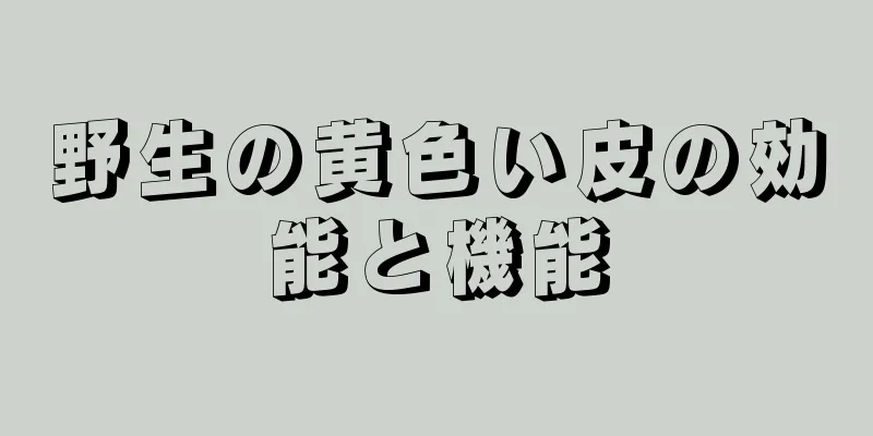 野生の黄色い皮の効能と機能