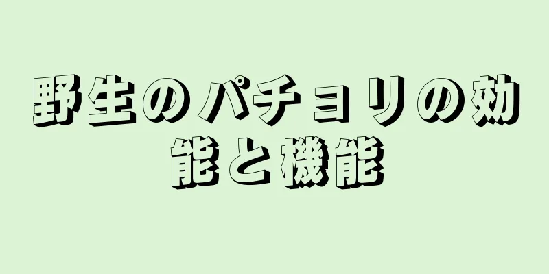 野生のパチョリの効能と機能