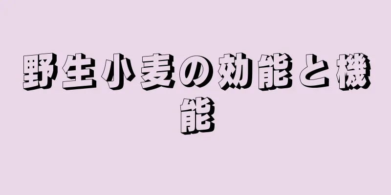 野生小麦の効能と機能