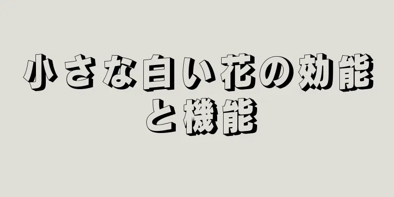 小さな白い花の効能と機能