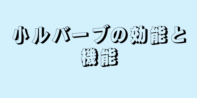 小ルバーブの効能と機能