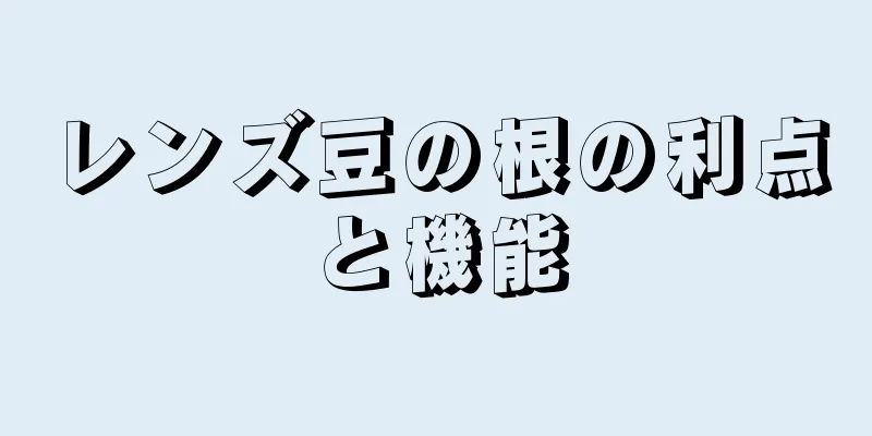 レンズ豆の根の利点と機能
