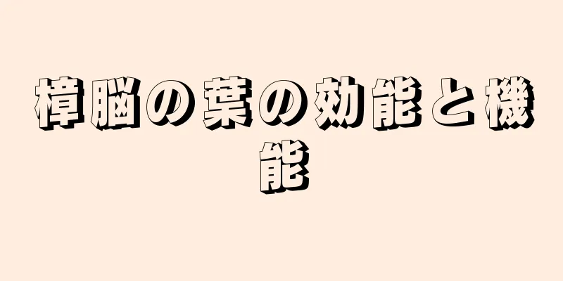 樟脳の葉の効能と機能