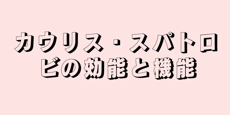 カウリス・スパトロビの効能と機能
