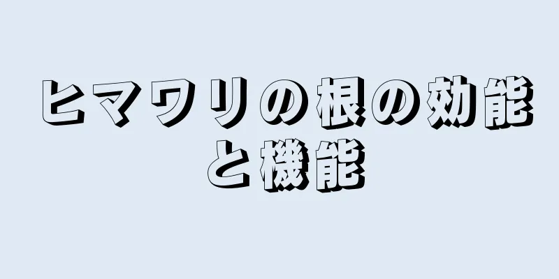 ヒマワリの根の効能と機能