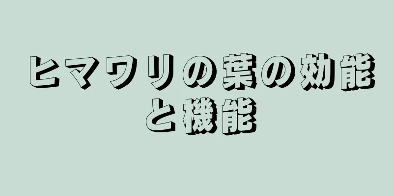 ヒマワリの葉の効能と機能