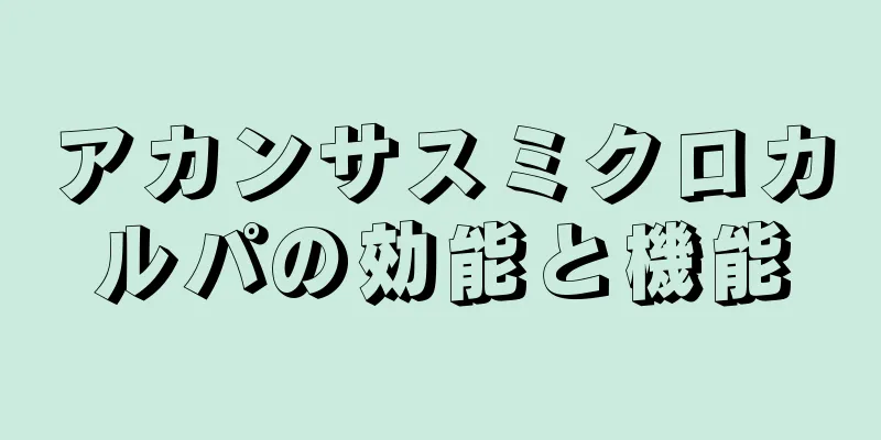 アカンサスミクロカルパの効能と機能