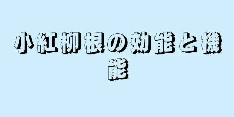 小紅柳根の効能と機能
