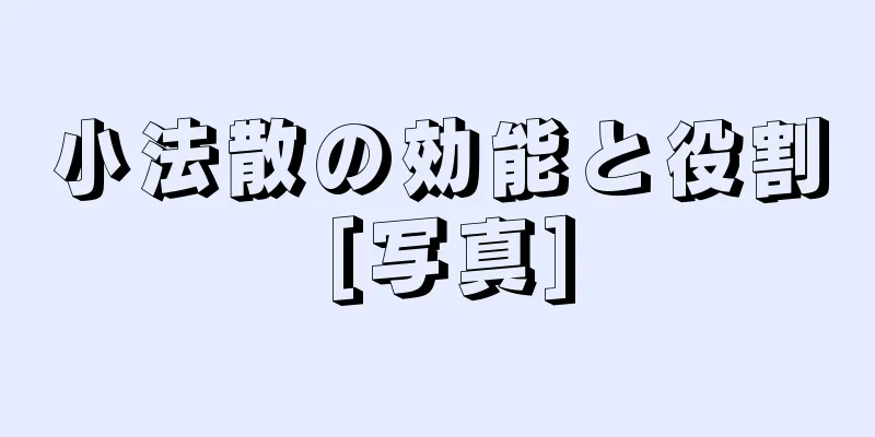 小法散の効能と役割 [写真]