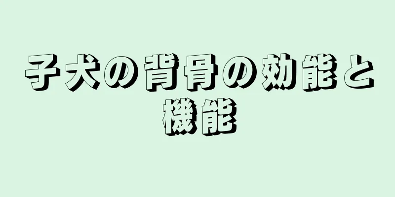 子犬の背骨の効能と機能