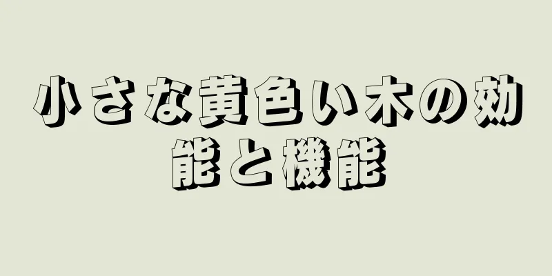 小さな黄色い木の効能と機能