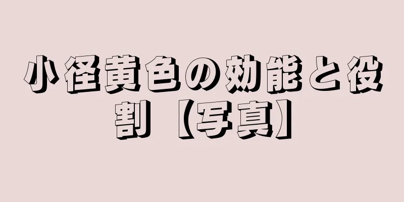 小径黄色の効能と役割【写真】