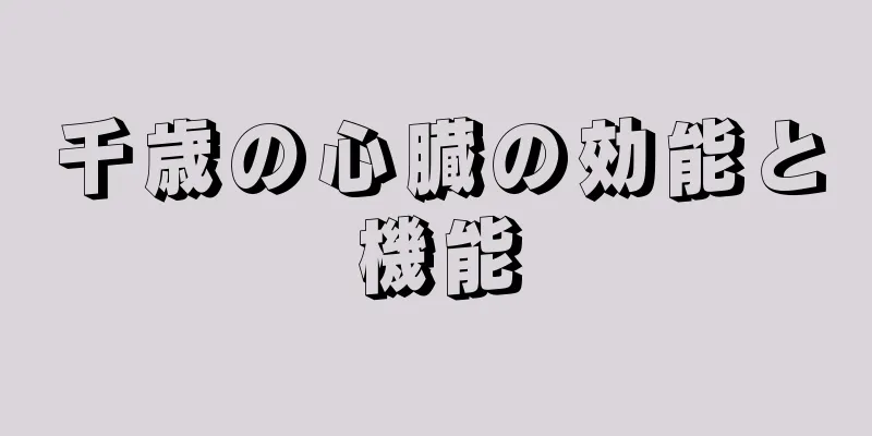千歳の心臓の効能と機能