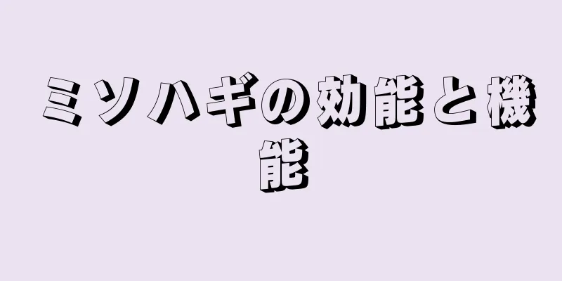 ミソハギの効能と機能