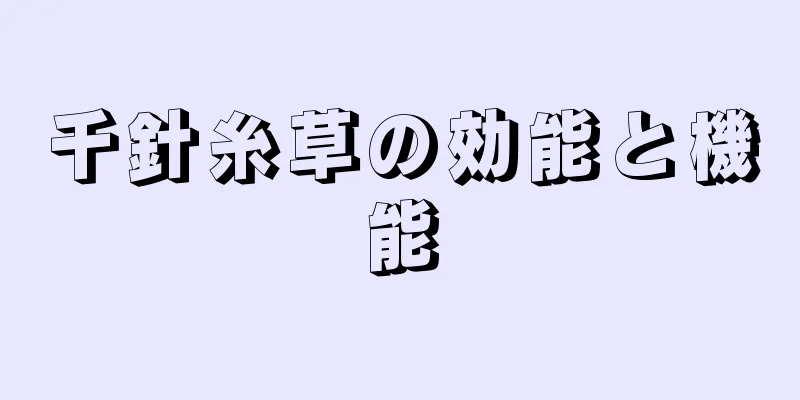 千針糸草の効能と機能