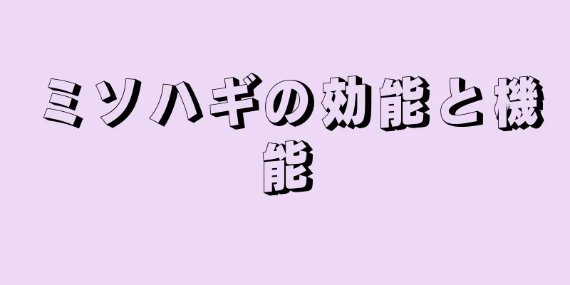 ミソハギの効能と機能