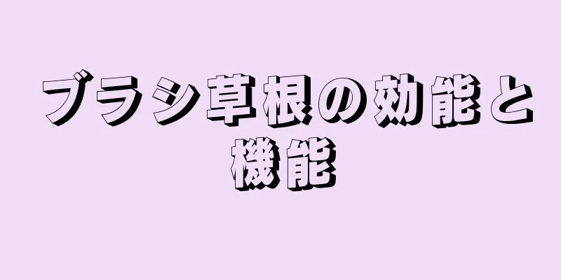 ブラシ草根の効能と機能