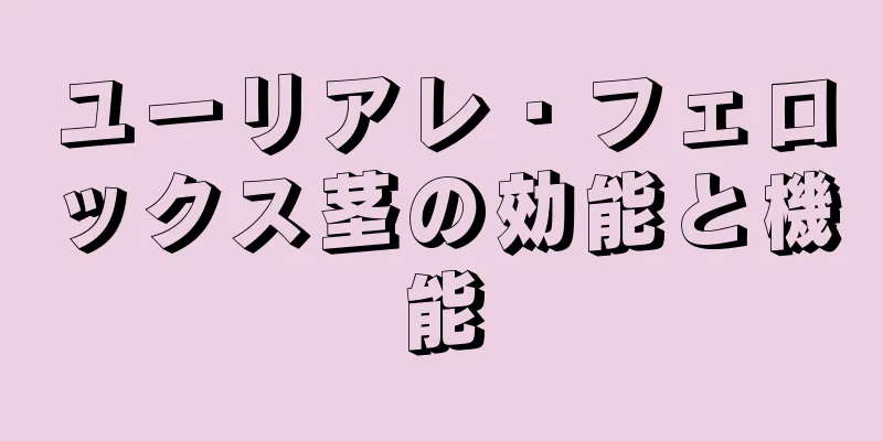 ユーリアレ・フェロックス茎の効能と機能
