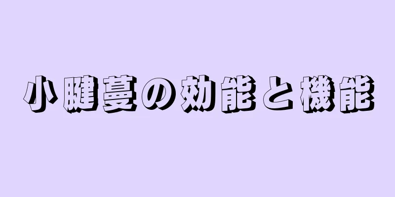小腱蔓の効能と機能