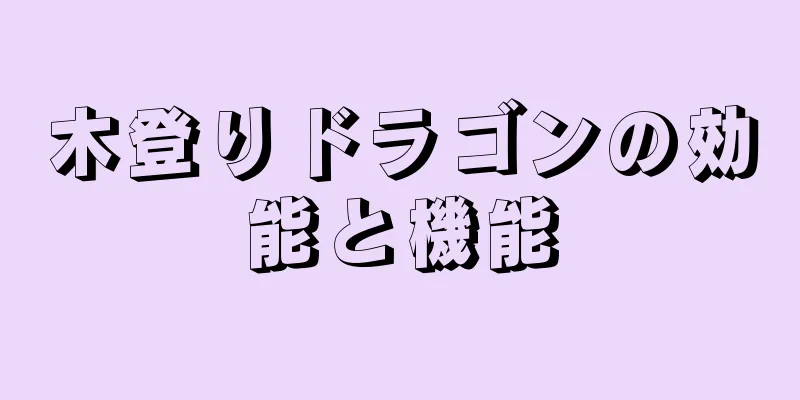 木登りドラゴンの効能と機能