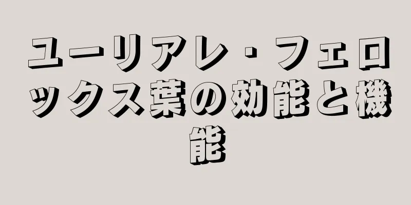 ユーリアレ・フェロックス葉の効能と機能